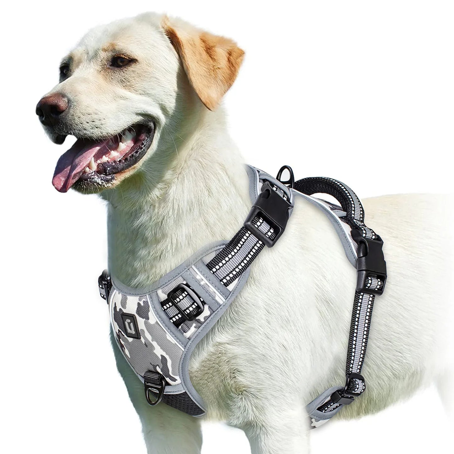 Harnais Pour chien