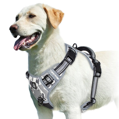 Harnais Pour chien