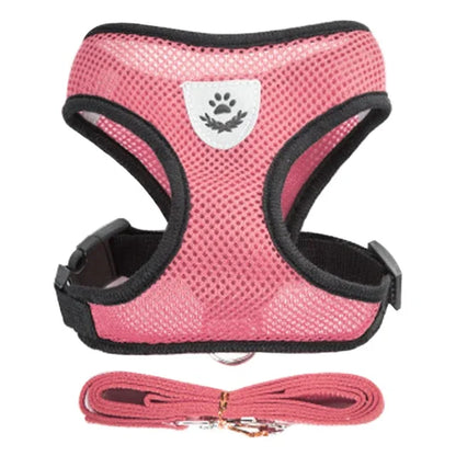 Harnais Gilet avec Laisse de Marche pour Chien