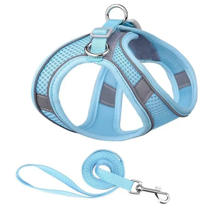 Harnais  Laisse pour Petits Chiens