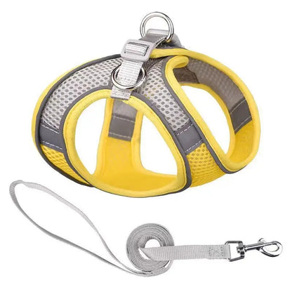 Harnais  Laisse pour Petits Chiens