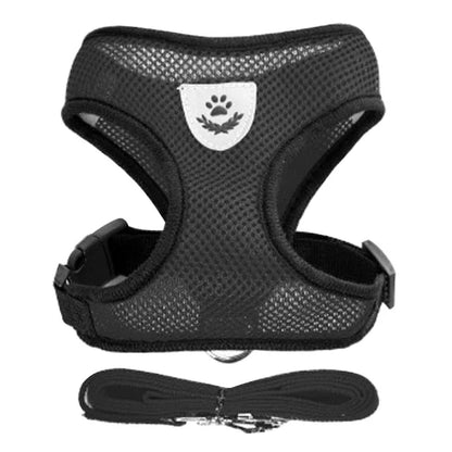 Harnais Gilet avec Laisse de Marche pour Chien
