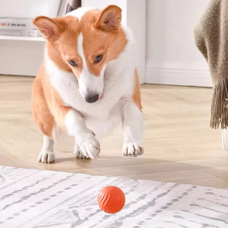 Balle de jouet interactive pour chien, rechargeable en USB, rotative et résistante à la mastication, idéale pour chiot et petit chien.