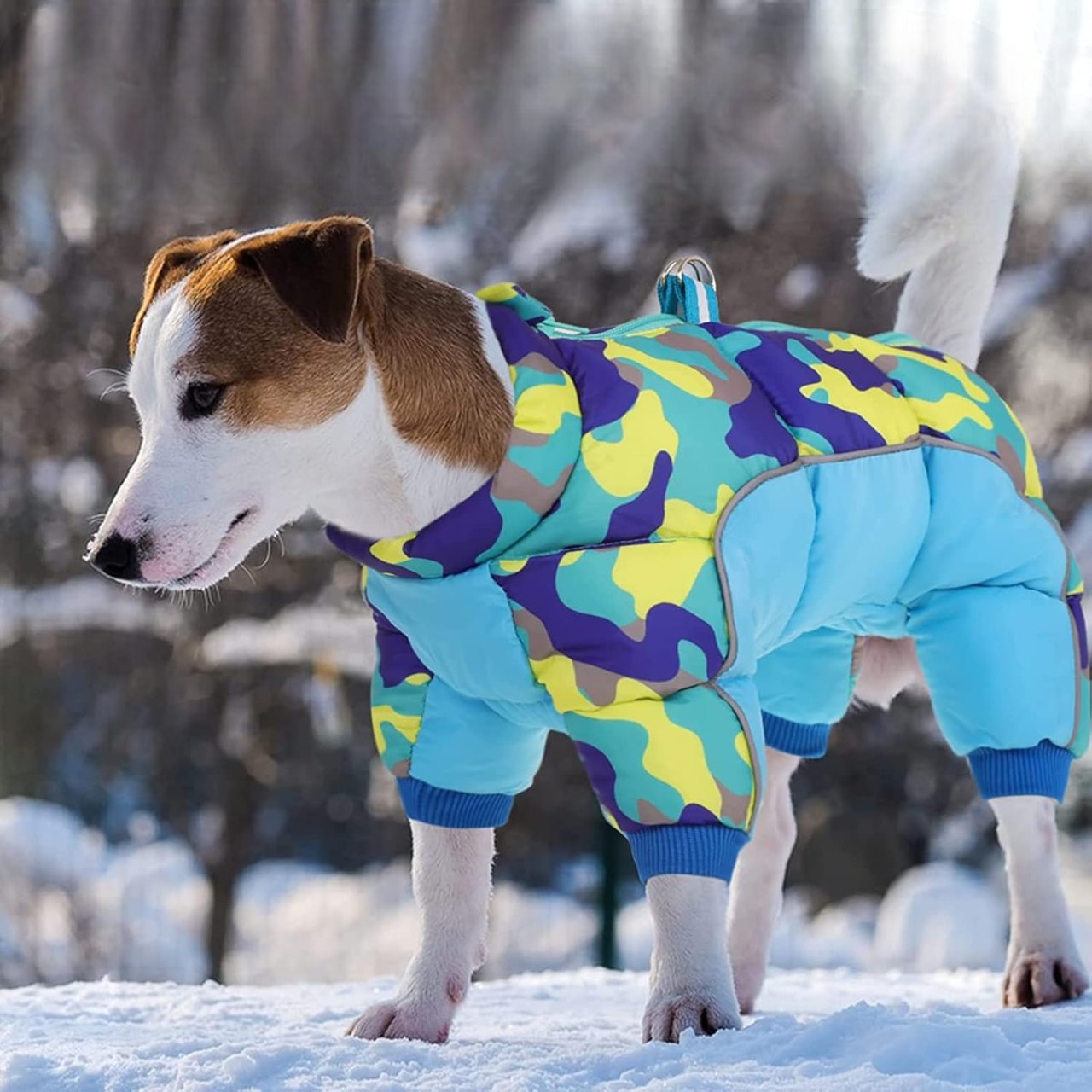 Doudoune Pour Chien - WarmJacketDog™ - Camouflage Cyan - HIVER CHIEN