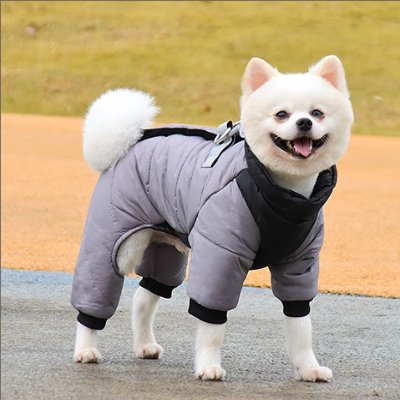 Doudoune Pour Chien - WarmJacketDog™ - Gris - HIVER CHIEN