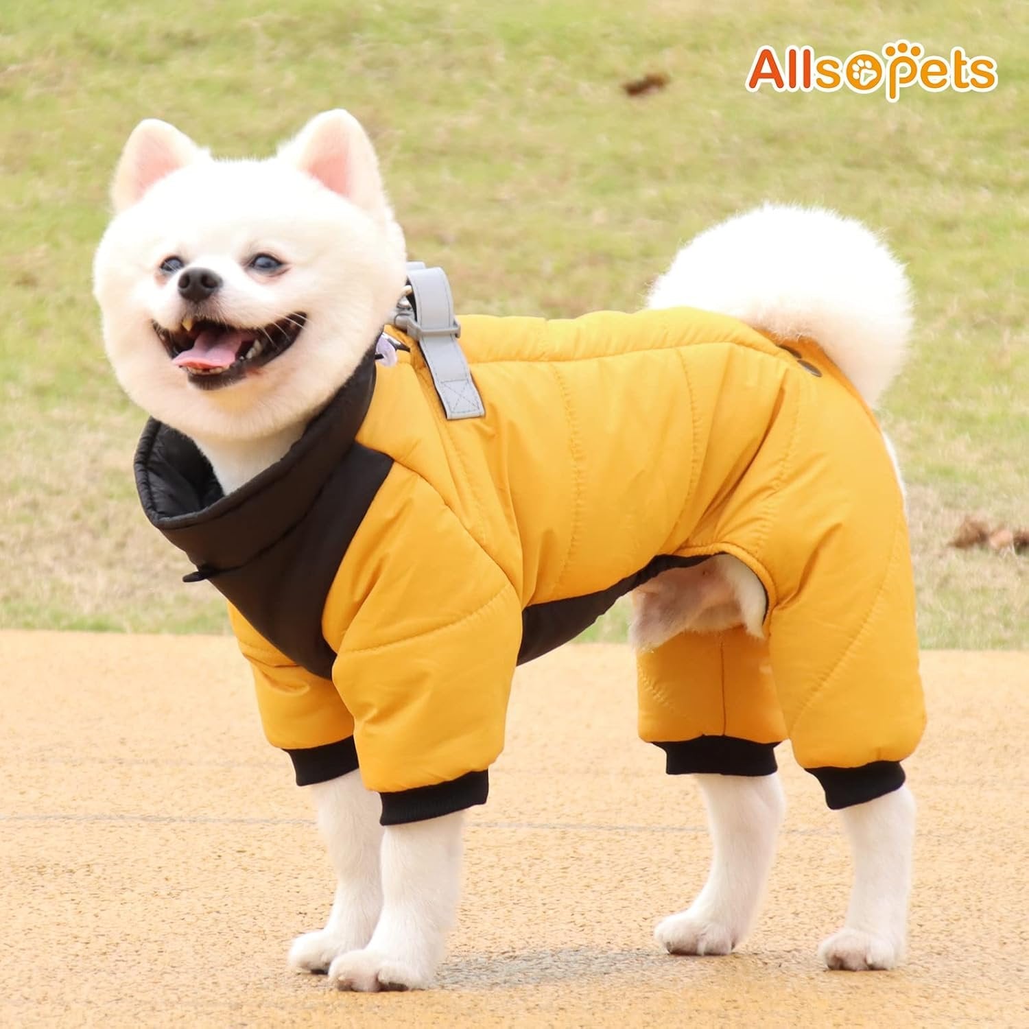 Doudoune Pour Chien - WarmJacketDog™ - Jaune - HIVER CHIEN