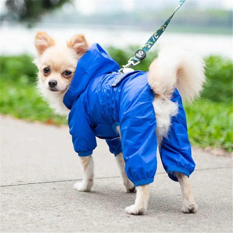 Manteau pour Chien - DogWaterproofCoat™ - Bleu - HIVER CHIEN